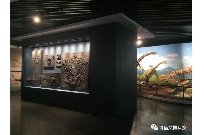 博物馆通柜