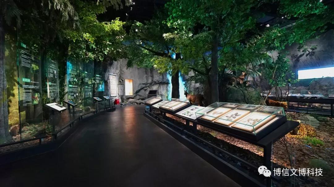 博物馆展柜